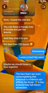 sisters text about mangoes